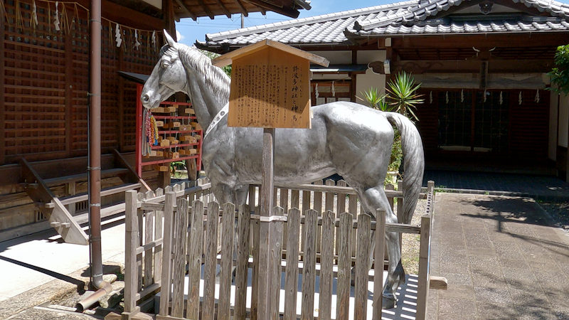 許波多神社 神馬