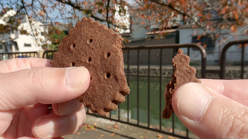 ラッキーダッキークッキー ガラムマサラ・ショコラ