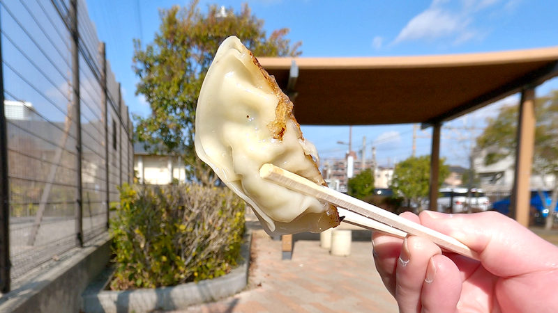 餃子の八壽廣 レギュラー餃子 3