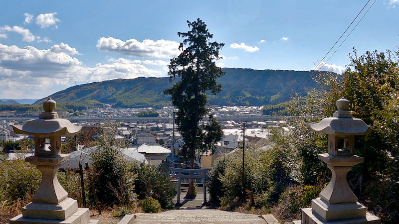 長岡京 走田神社 一本松