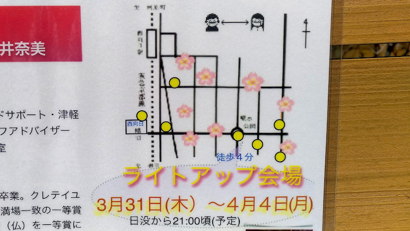 向日市 桜の径 ライトアップ 2022