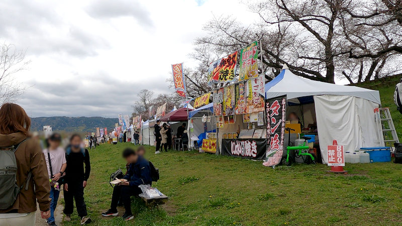 秋田農園 背割堤さくらまつり 1