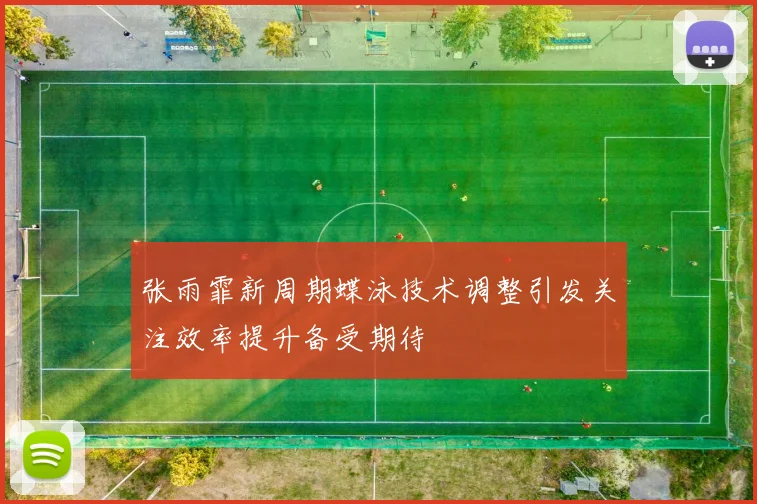 张雨霏新周期蝶泳技术调整引发关注效率提升备受期待