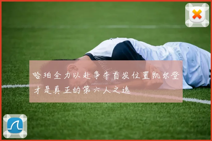 哈珀全力以赴争夺首发位置凯尔登才是真正的第六人之选